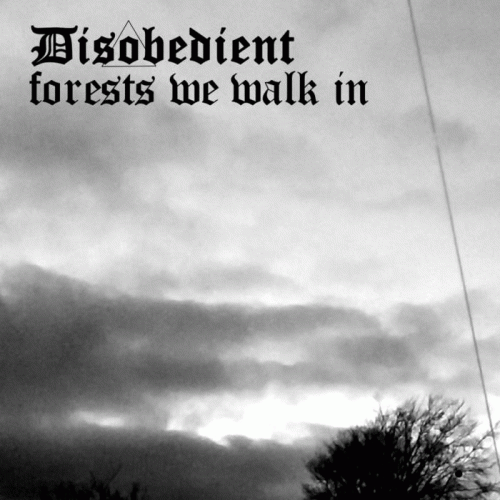 Disobedient : Forest We Walk In
